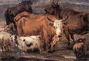 BERCHEM, Nicolaes Animal Study dd Spain oil painting artist